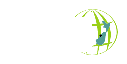 Global Village Backpackers